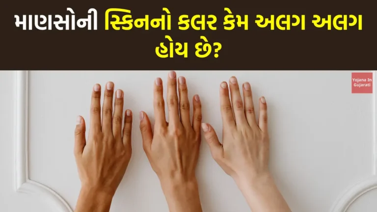 માણસોની સ્કિનનો કલર કેમ અલગ અલગ હોય છે?