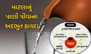 માટલાના પાણીના ફાયદા