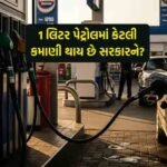 સરકાર 1 લેટર પેટ્રોલમાં કેટલી કમાણી કરે છે ચાલો આખું ગણિત સમજીએ
