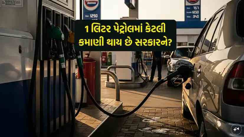 સરકાર 1 લેટર પેટ્રોલમાં કેટલી કમાણી કરે છે ચાલો આખું ગણિત સમજીએ