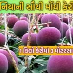 Miyazaki Mango Price